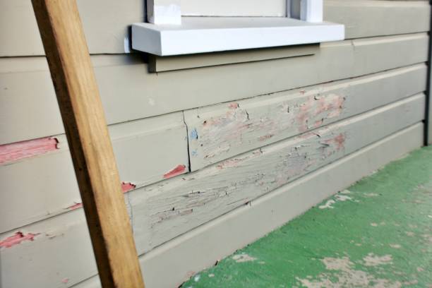 Best Storm Damage Siding Repair  in USA